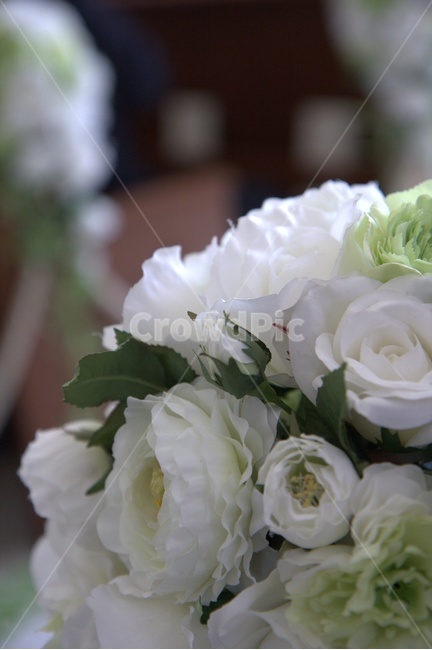 식물,blossom,꽃,flower,flowerbouquet,꽃부케,결혼,wedding,식물,자연,plants,nature,꽃,flower