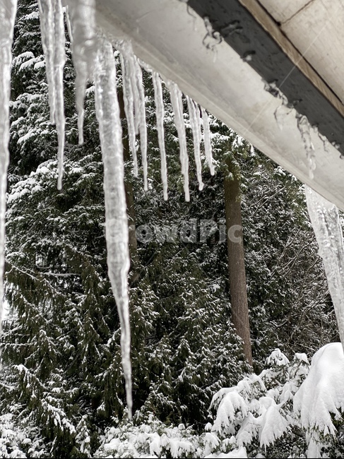 nature,자연,outdoors,ice,snow,빙,눈,winter,겨울,고드름,icicle,icicles,캐나다,canada,처마밑,감성,추운날,얼음,영하,추운겨울