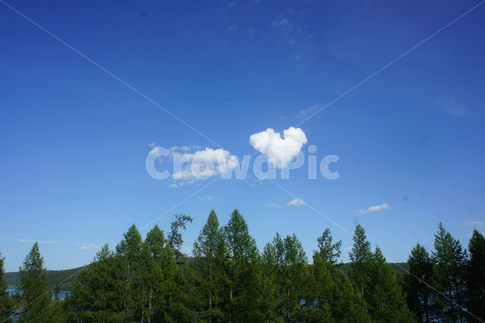 나무,하늘,sky,구름,cloud,하트,love,사랑,풍경,자연