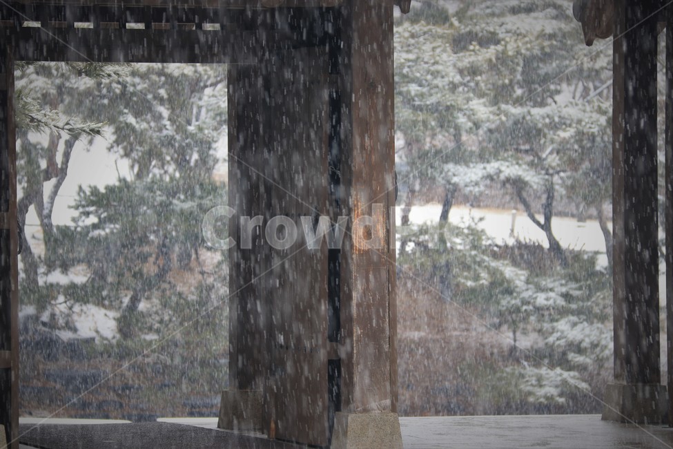 눈,겨울,한옥,자연,야외,겨울,계절,winter,season,한국전통,한국문화,korean traditional,korean culture