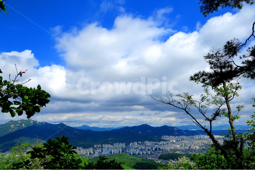 풍경,경치,하늘,구름,나무,도시,풍경,city,landscape,한국도시풍경,한국도시경관,korea cityscape,nature,자연,outdoors,옥외,weather,날씨,cumulus,적운,cloud,sky