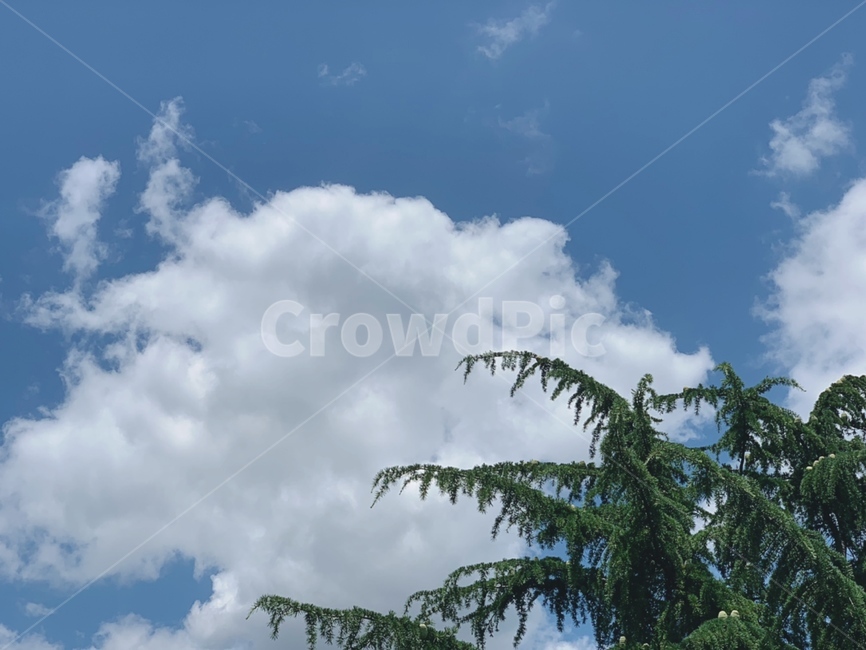 하늘,감성,맑은하늘,구름,풍경,scenery,감성사진,skyview