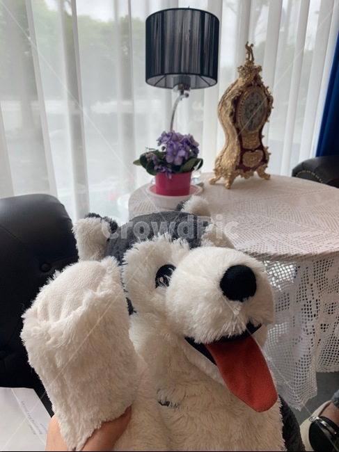 강아지인형,카페,인형,휴식,소품