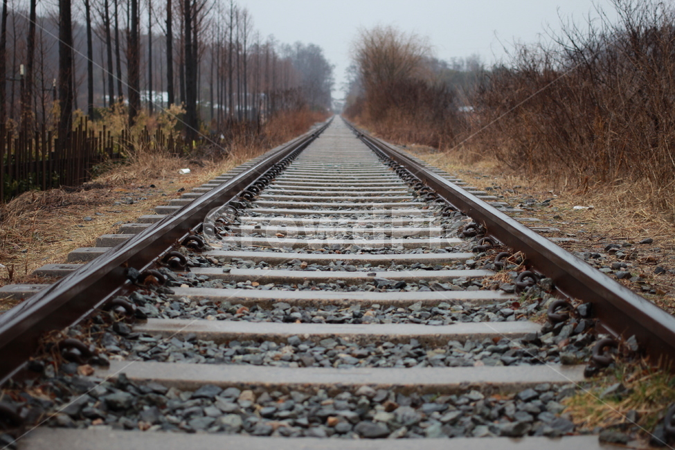 철길,철로,교통수단,기찻길,선로,철강,railroad,기차길,원근,원근감,레일,항동철길,감성사진,가을,쓸쓸함,곧게뻗은