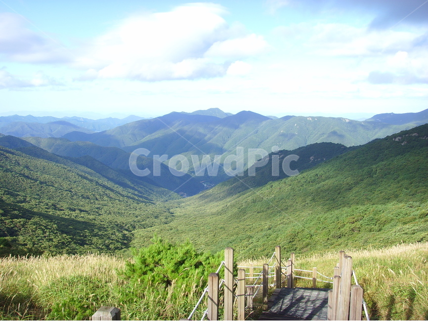 산,영남알프스,신불산,간월산,영축산,갈대,가지산,자연,풍경,nature,landscape,한국자연풍경,한국자연경관,korea nature landscape,outdoors,옥외