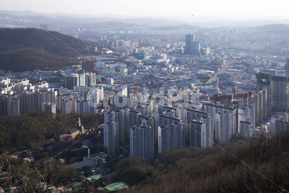 모락산,경기도,의왕시,도심풍경,군포시,아파트,건물