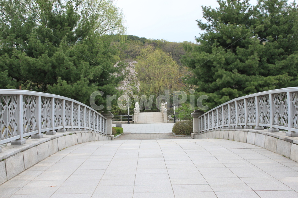 공원,park,다리,bridge,길,소나무,산,돌다리,돌길,자연,풍경,nature,landscape,handrail,난간,banister,railing,flagstone,판석