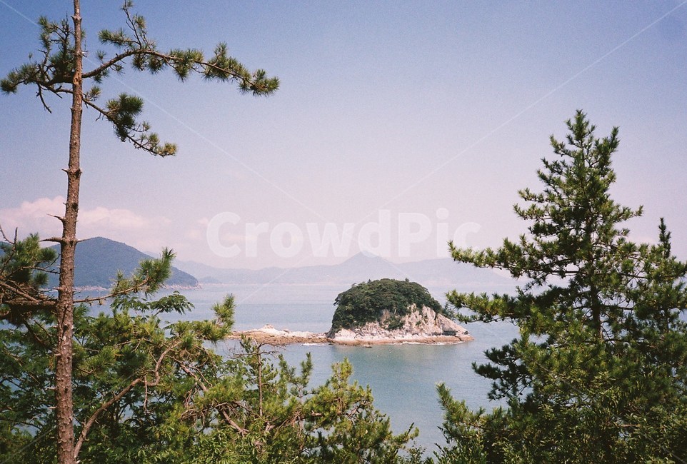 필름,필름사진,film,바다,sea,자연,nature,섬,island,나무,자연,풍경,nature,landscape