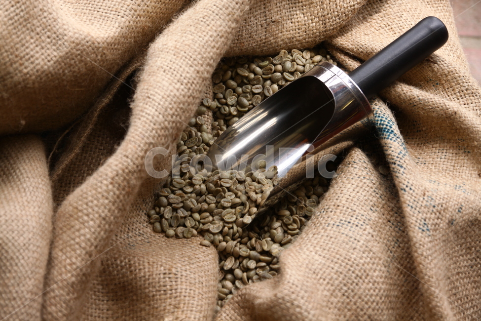 커피,원두,자루,커피콩,콩,갈색,황토색,계량스푼,coffeebean,coffee,spoonbrown,brown,coffeescoop,bean,scoop,커피,카페,coffee,cafe