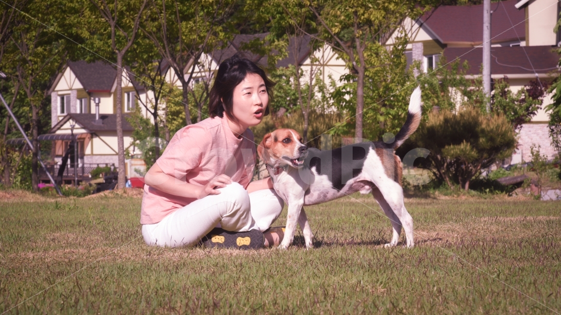 인물사진,강아지,개,비글,교감,유럽,여행,해외여행,국내여행,동물,animal,포유류,mammal,개,강아지,dog,doggy,사람,인물,인간,human,person,얼굴표정,facial expression,face,여성,여자,woman,female,lady,감정표현,기분,feeling,emotion