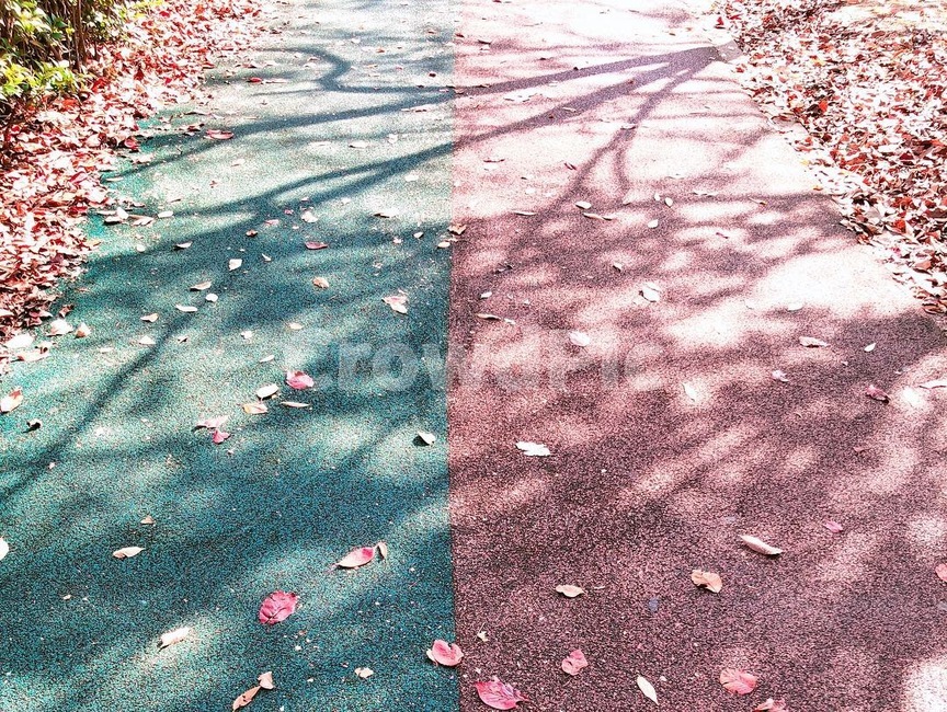 가을,호수,낙엽,하늘,공원,단풍,가을,계절,fall,autumn,season,ground,바닥,flagstone,판석
