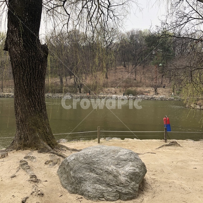 경복궁,호수,돌,나무,산책로