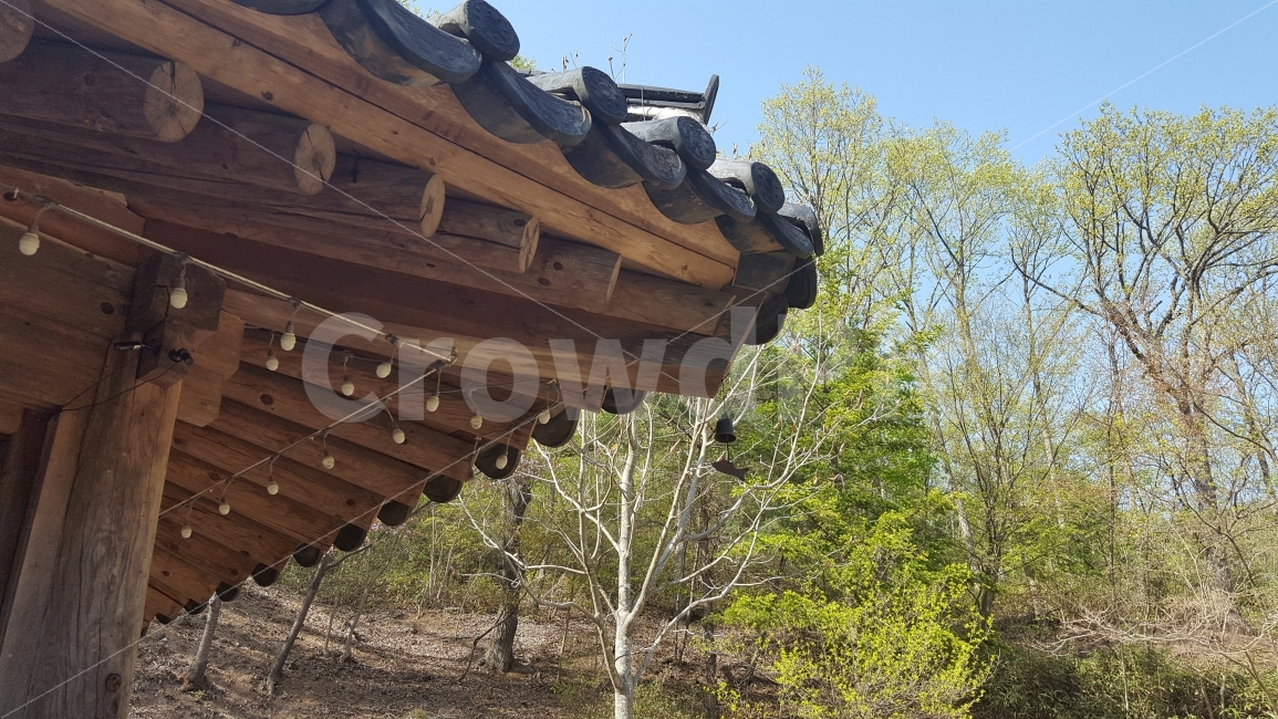 여행,travel,여행사진,국내여행,혼자여행,사진,순천,순천여행,배경사진,배경,이쁜사진,색감,색감좋은사진,송광사,절,불일암,법정스님,무소유,풍경,풍경사진,고요,처마,건축물,건물외관,exterior,building,structure,architecture,construction,한국전통,한국문화,korean traditional,korean culture
