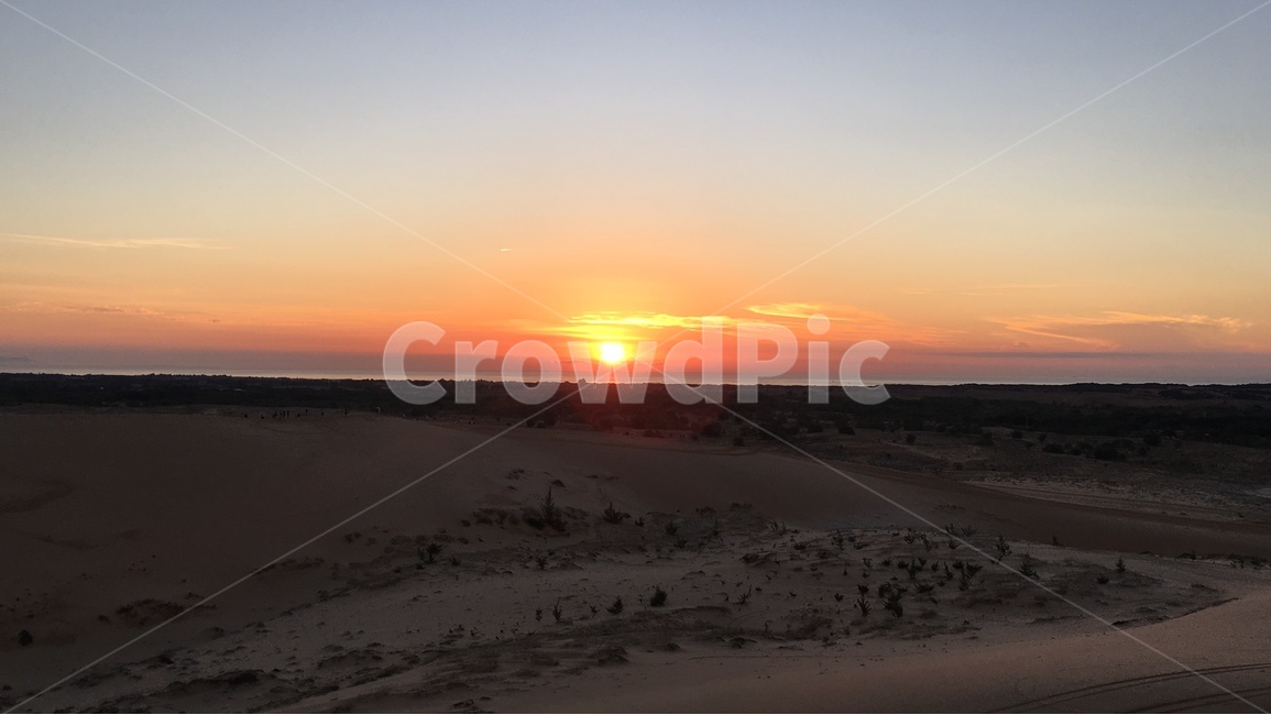 베트남,무이네,사막,화이트샌듄,모래사구,하늘,나무,흔적,sand,모래,고요한,적막한,세계자연풍경,해외자연풍경,모래언덕,자연,풍경,nature,landscape,해외,외국,세계,foreign,oversea,world,세계자연풍경,해외자연풍경,외국자연풍경,world nature landscape,outdoors,옥외,soil,흙