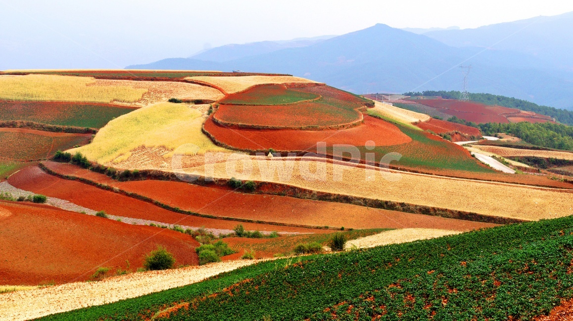 nature,자연,outdoors,옥외,landscape,경치,plateau,고원,scenery,풍경,hill,언덕,field,들,중국,운남성,홍토지,운남홍토지,비경,패턴,자연,풍경,nature,landscape,해외,외국,세계,foreign,oversea,world,세계자연풍경,해외자연풍경,외국자연풍경,world nature landscape