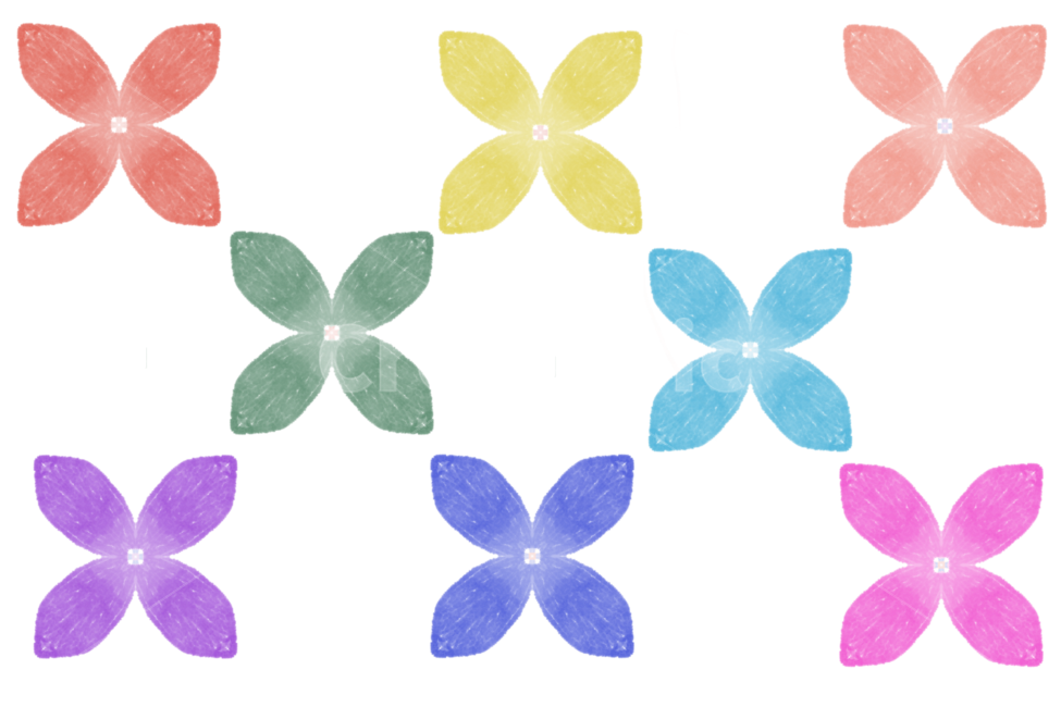 blossom,꽃,plant,식물,petal,꽃잎,flower