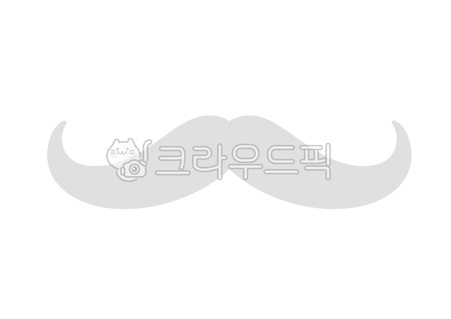 수염,수염그림,수염일러스트,수염누끼,수염png,콧수염,누끼,그림,일러스트,디자인,illustration,design,draw,png