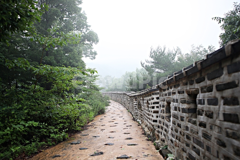 남한산성,성곽,돌담,둘레길,안개,숲길,숲,길,담