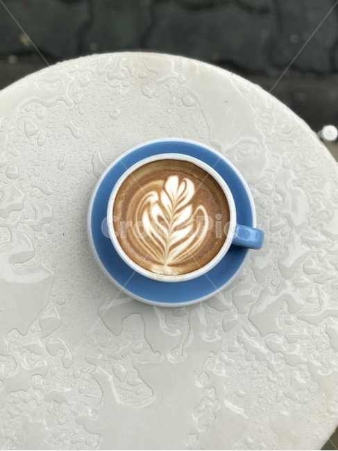 커피,카페라떼,라떼아트,로제타,커피아트,coffee,cafelatte,latteart,rosetta,coffeeart,음료수,drink,beverage,커피,카페,coffee,cafe