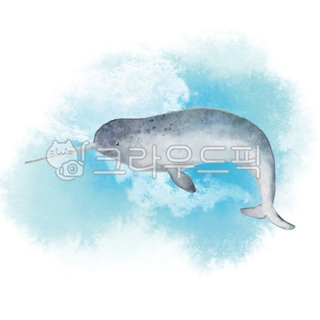 일각고래,뿔고래,고래,상어,sealife,해양생물,animal,동물,포유류,mammal,whale