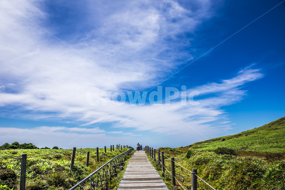 제주도,하늘,영실,들판,자연,한국자연풍경,자연풍경,풍경,자연,풍경,nature,landscape,outdoors,옥외