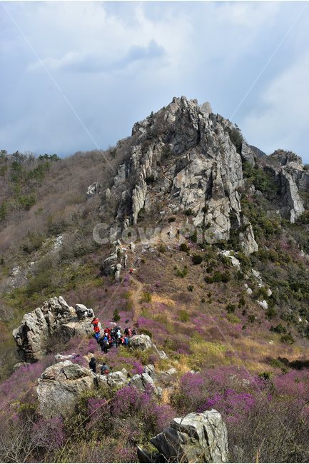 주작산,덕룡산,종주,진달래,풍경,기암,바위,비경,봄풍경,진달래꽃,강진,명산,산행,등산,마운틴,힐링,mountain,landscape,자연,natural,봄,계절,spring,season,자연,풍경,nature,landscape,한국자연풍경,한국자연경관,korea nature landscape,사람들,대중,군중,other people,crowd,여행,휴가,traveling,vacation,trip,스포츠,레저,운동,sports,leisure,exercise,outdoors,옥외