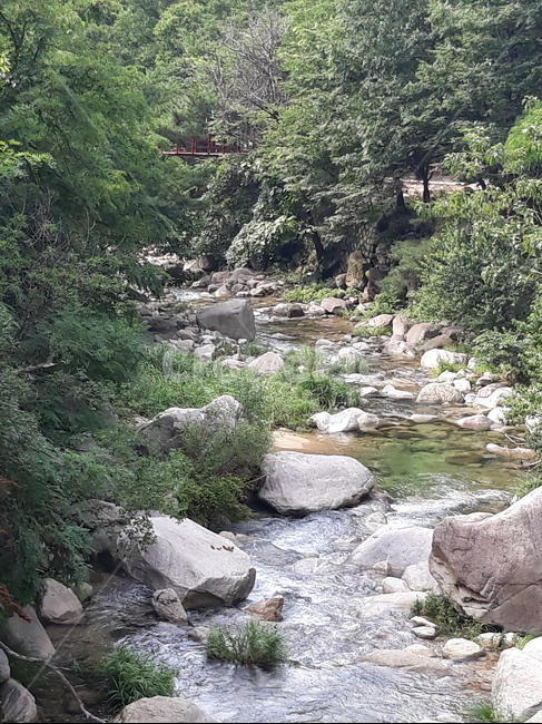 북한산계곡,냇가,야외,청정우,여름,자연,풍경,nature,landscape,water,물,stream,흐름,outdoors,옥외,creek,작은 만
