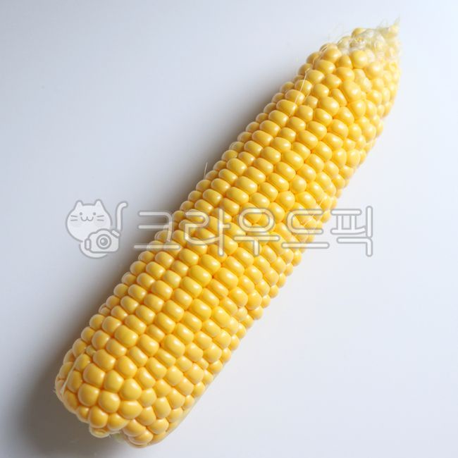 옥수수,초당,초당옥수수,구황작물,채소,야채,음식,corn,vegetable,식물,food,노란,식량,여름채소,식재료,음식,식재료,요리,food,cook,meal,dishes,food reserves