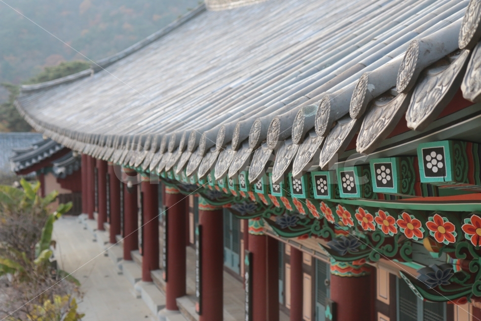 한국,전통,풍경,해인사,팔만대장경,한국의미,지붕,절,가을,tradition,문화유산,보물,heritage,유산,랜드마크,landmark,tourist attraction,한국랜드마크,한국관광지,한국명소,korea landmark,korea tourist attraction,종교,신앙,religion,belief,faith,건축물,건물외관,exterior,building,structure,architecture,construction