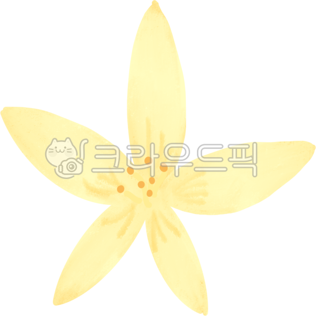 nature,yellow flower,yellow,flower,spring,forsythia,petal,plant