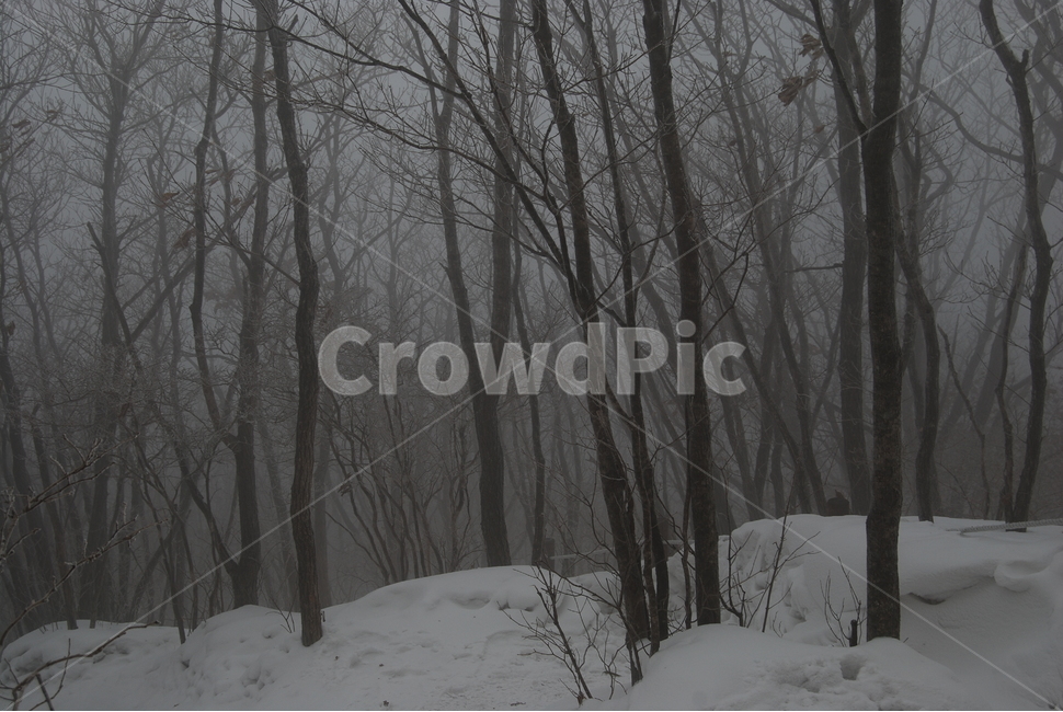등산,계방산,힐링,자연,겨울,겨울산행,감성,풍경,계절,겨울이미지,겨울,계절,winter,season,자연,풍경,nature,landscape,한국자연풍경,한국자연경관,korea nature landscape,snow,눈,blizzard,눈보라,storm,폭풍,outdoors,옥외,weather,날씨