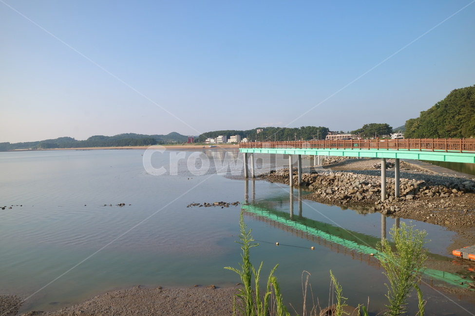 자연,여름,하늘,바다,갯벌,궁평항,화성시,다리,갈매기,풀,나무,야외,산,sky,nature,outdoors,sea,자연,풍경,nature,landscape,water,물,옥외