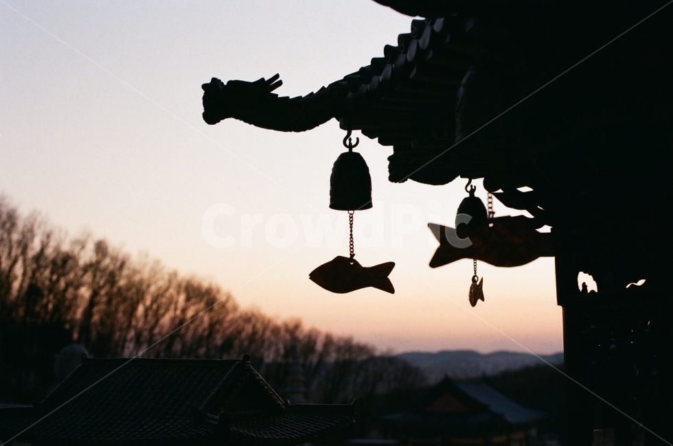 풍경,노을,해질녘,sunset,temple,건축,기와,종,물고기,fish,한국전통,한국문화,korean traditional,korean culture,실루엣,그림자,silhouette,shadow,종교,신앙,religion,belief,faith,사물,물건,오브젝트,thing,object,matter