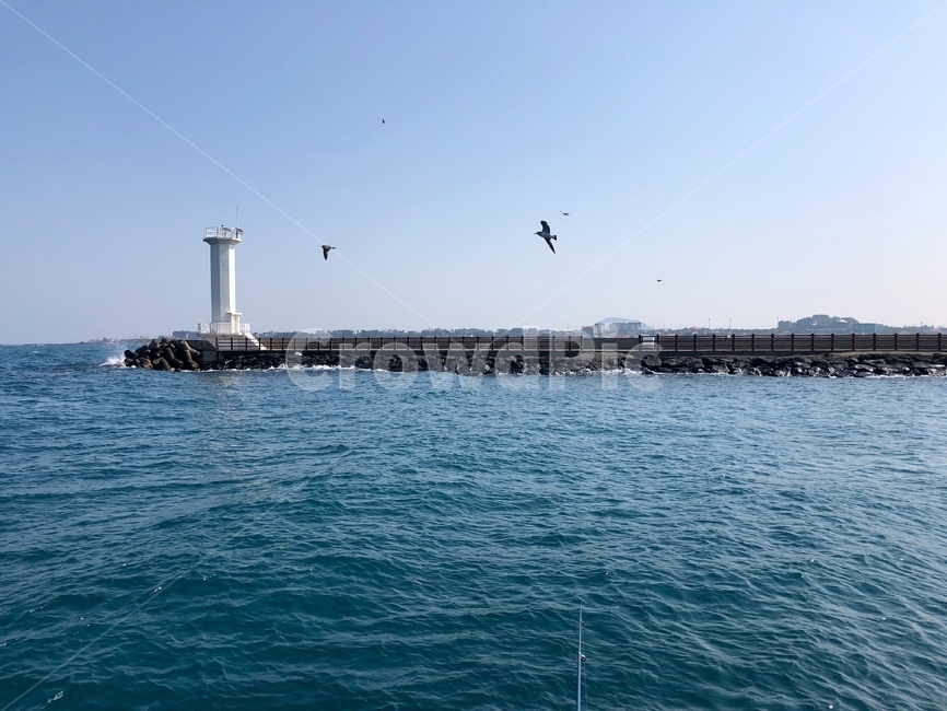 waterfront,워터프론트,water,물,pier,교각,dock,독,port,포트,bird,새,animal,동물,해변,제주,세화,제주세화,세화해변,세화항구,등대,바다,등대,lighthouse