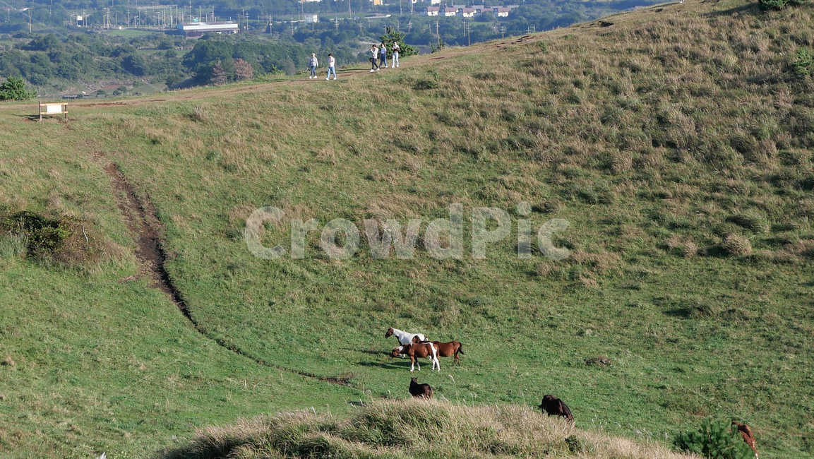 nature,자연,outdoors,human,들,field,옥외,인간,person,사람,grassland,목초지,countryside,용눈이,용눈이오름,오름,orum,jeju,제주,제주도,제주오름,가을제주,가을,풍경,landscape,자연,풍경,nature,landscape