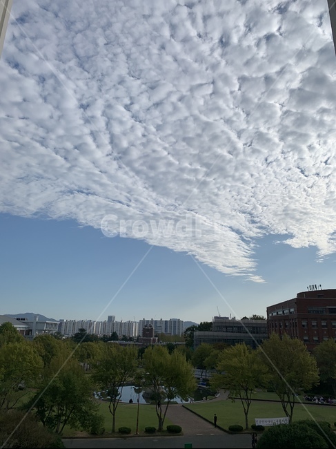 날씨,자연,weather,구름,하늘,sky,적운