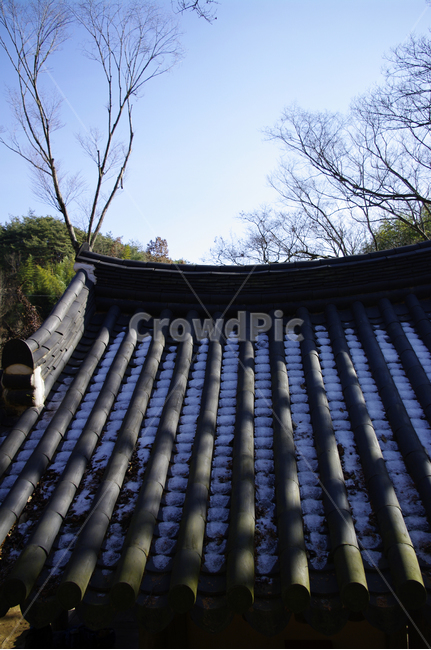 기와,지붕,전통,나무,한국,한국전통,한국문화,korean traditional,korean culture,건축물,건물외관,exterior,building,structure,architecture,construction