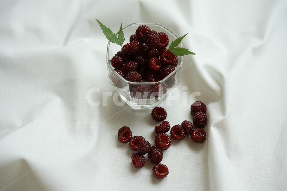 산딸기,열매,과일,라즈베리,raspberry,식물,자연,plants,nature,과일,열매,fruit,연출,컨셉,콘셉,direction,concept