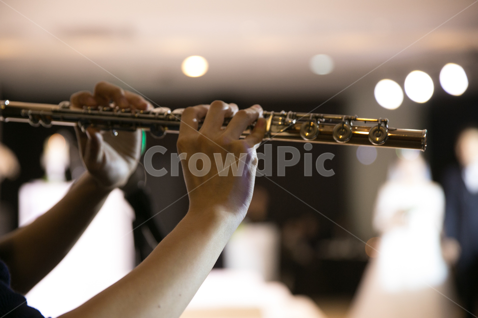 플루트,플릇,축가,공연,악기,신랑신부,결혼식,악기,음향기기,musical instrument,musical equipment
