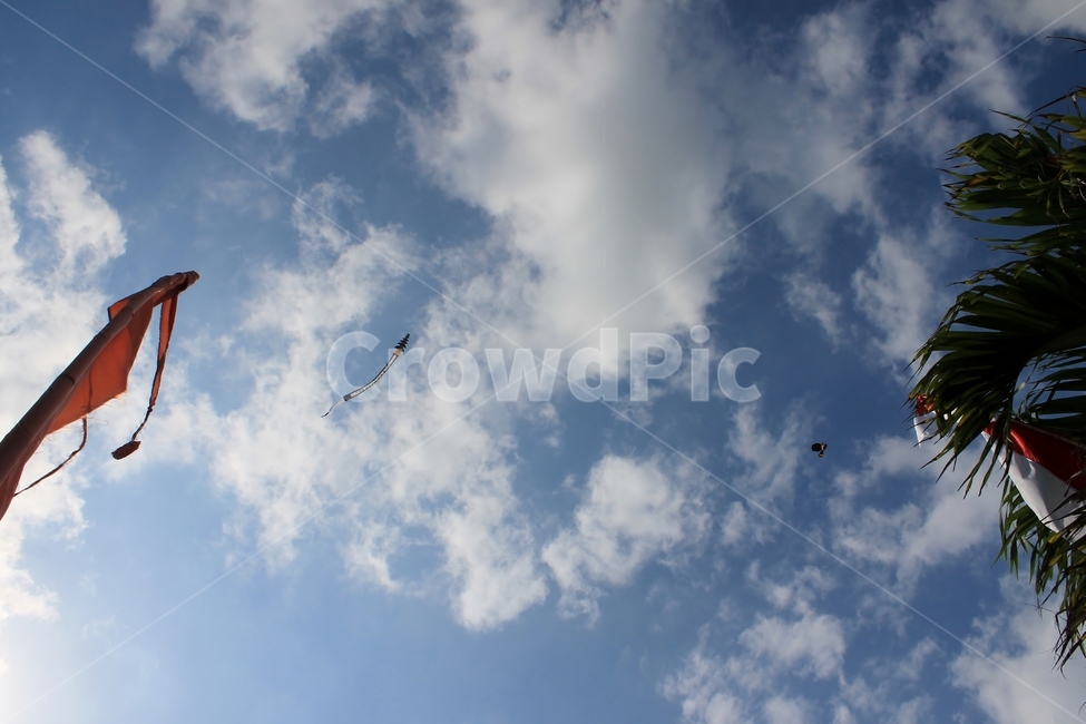 발리,연,연날리기,kite,flingkite,하늘,sky,푸른하늘,bluesky