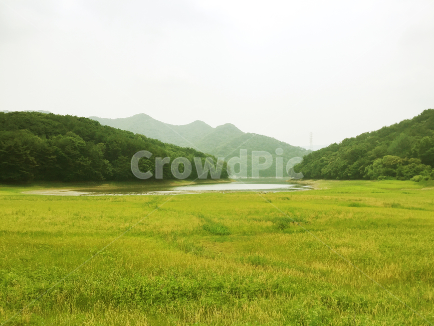 자연,들,저수지,회동저수지,산,mountain,field,nature,countryside,reservoir,들판,목초지,부산,산책로,자연,풍경,nature,landscape,grassland,outdoors,옥외