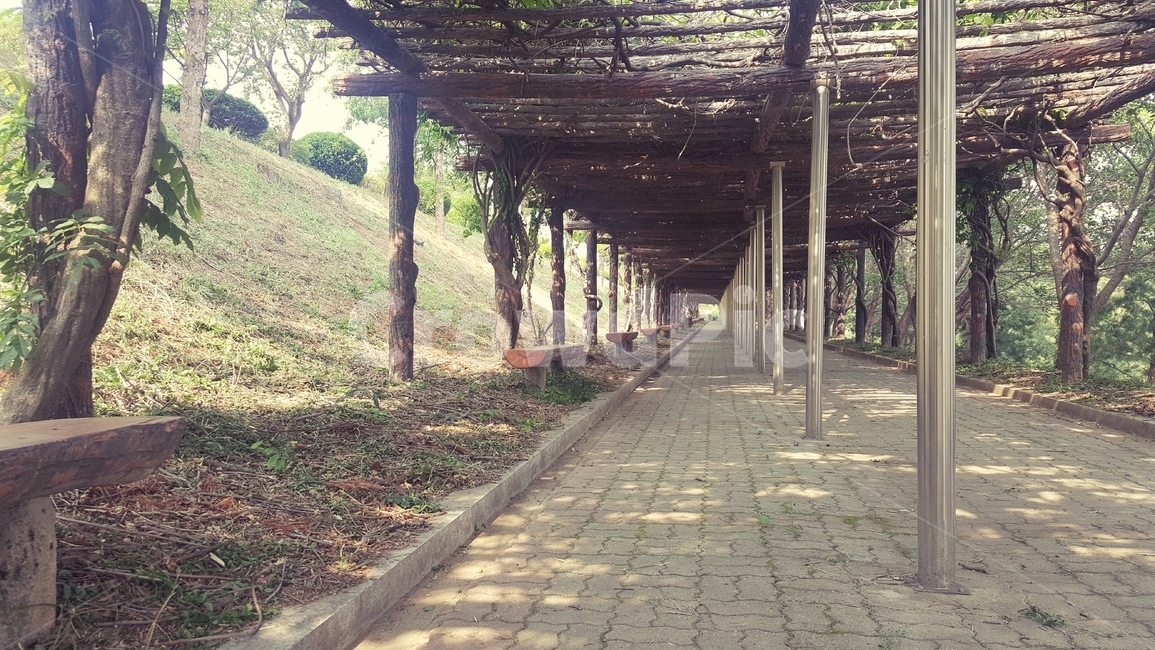 자연,숲,숲길,힐링,휴식,자연,풍경,nature,landscape,porch,현관,patio,안마당,pergola,페르 골라