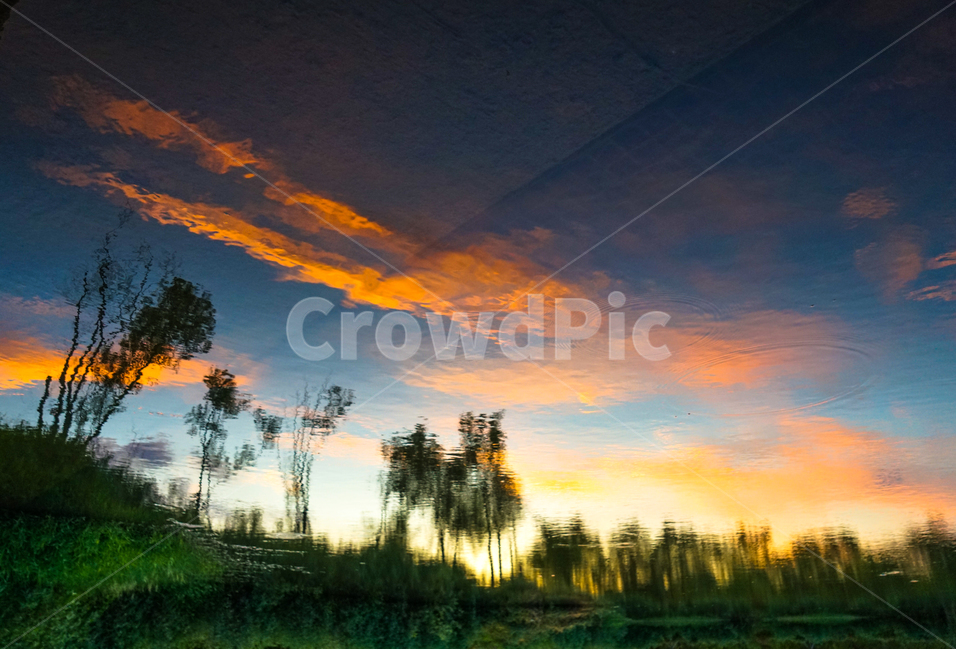 석양,해넘이,일몰,하늘,구름,나무,석양빛,노을,빛,자연,풍경,nature,landscape,outdoors,옥외,sky,sunset,red sky,붉은 하늘,dusk,황혼,dawn,새벽,painting,그림,art,미술