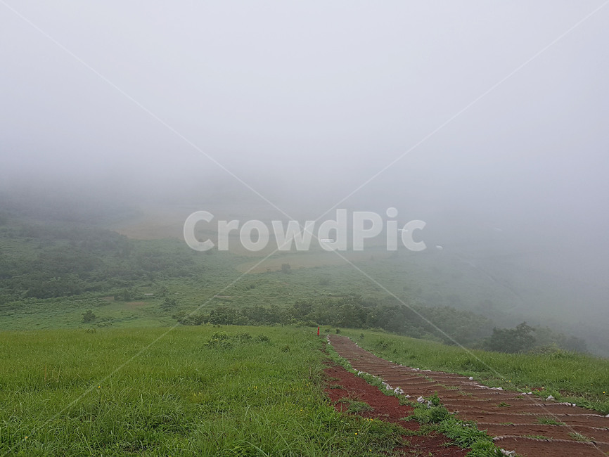안개,오름,비오는날,구름,안개낀날