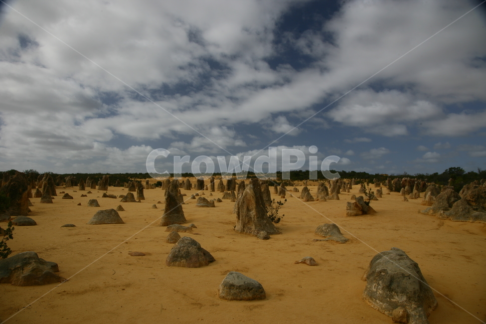 ground,바닥,nature,자연,soil,흙,outdoors,옥외,피나클로사막,퍼스,자연,풍경,nature,landscape,해외,외국,세계,foreign,oversea,world,세계자연풍경,해외자연풍경,외국자연풍경,world nature landscape
