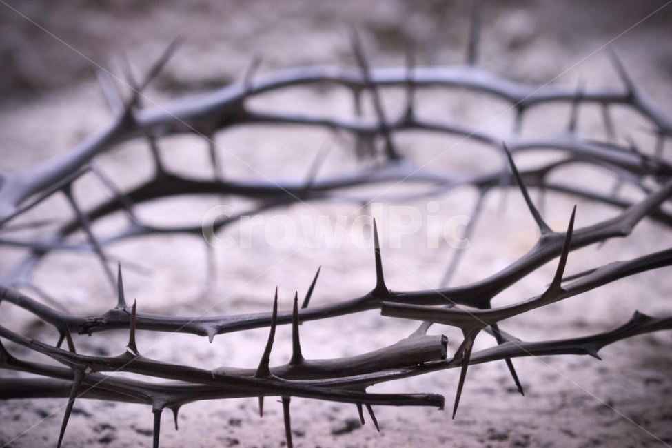 antler,용,십자가,예수,jesus,면류관,가시,가시면류관,죄인,사순절,고난,죄사함,피흘림,고문,고난주간,종려주일