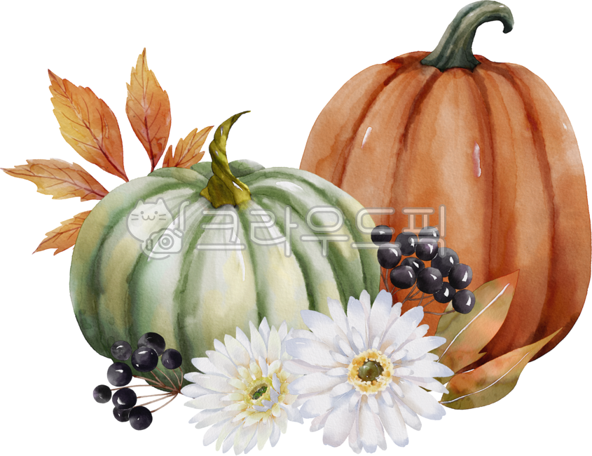 수채화그림,호박일러스트,잎,열매,잎사귀,단풍,낙엽,fall,leaves,호박,호박그림,추석,추수감사절,추수,할로윈,가을,데코,합성소스,장식,라벨,기념일,스티커,자연일러스트,손그림,일러스트,할로윈데이,graphic,png,illust,수채화,식물,해바라기,꽃,해바라기그림,꽃그림,노란꽃그림,그림,plant,sunflower,flower,watercolor,pumpkin