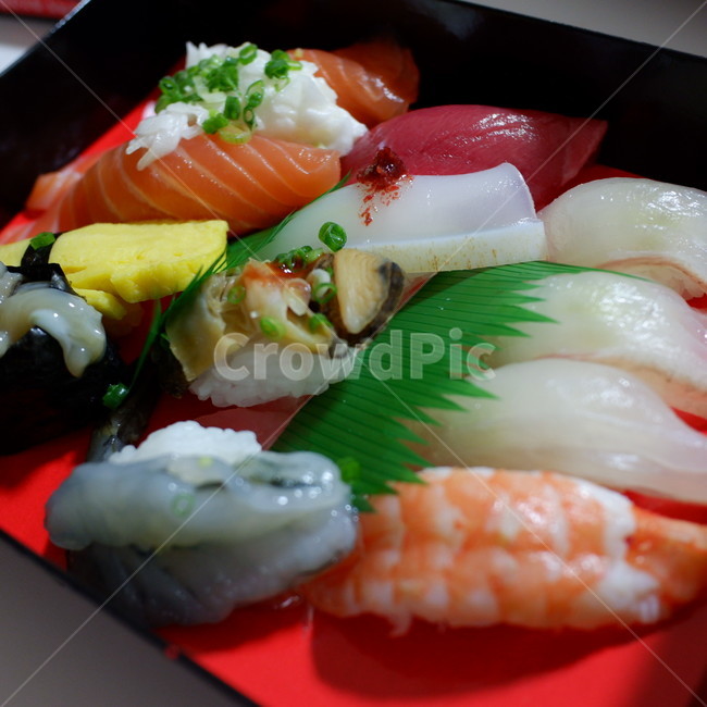 연어초밥,연어,초밥,sushi,도시락,food,음식,회,음식,식재료,요리,food,cook,meal,dishes,food reserves,일식,일본음식,일본요리,Japanese food,Japanese dishes,Japanese meal,Japanese cook