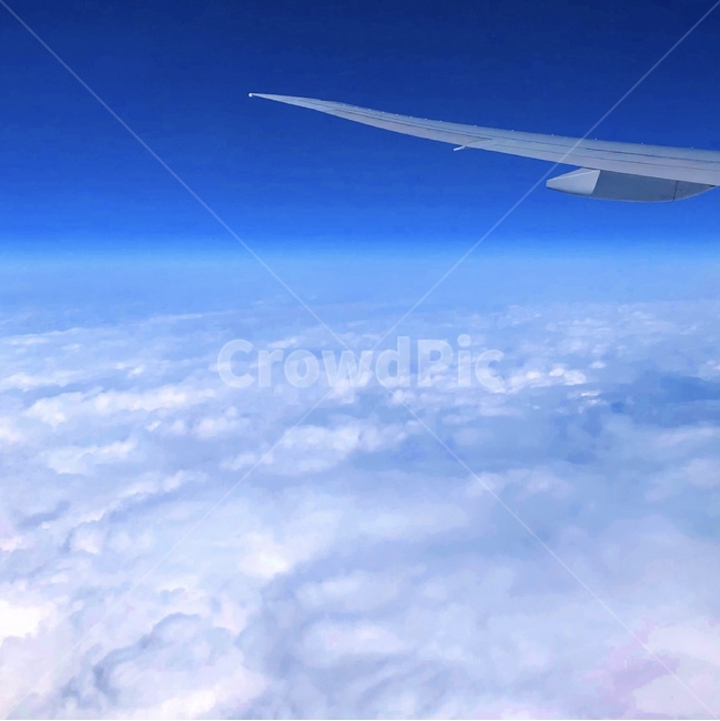 하늘,구름,비행기,파란색,sky,blue,하늘색,교통,교통수단,traffic,transportation