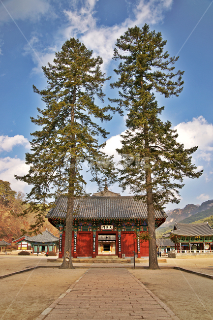 천왕문,법주사,사천왕문,전나무,불법수호,보은,속리산,푸른하늘,흰구름,한국전통,한국문화,korean traditional,korean culture,건축물,건물외관,exterior,building,structure,architecture,construction